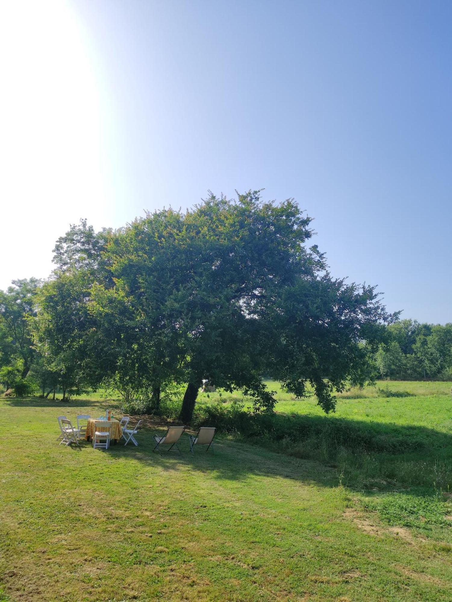 Appartamento Il Picchio Verde アルトパーショ エクステリア 写真